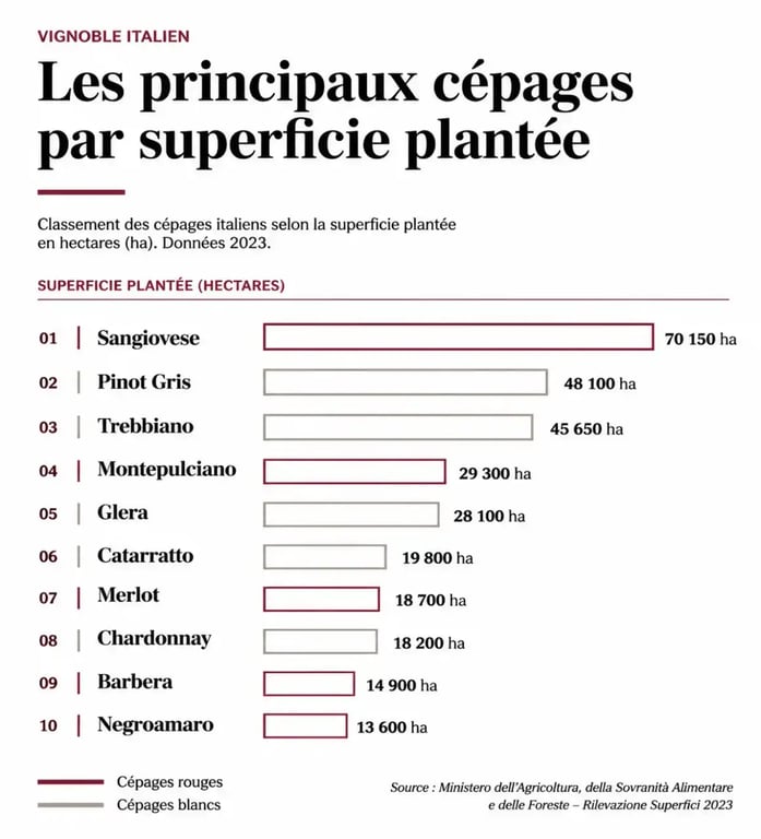 Classement des cépages italiens par superficie plantée en hectares